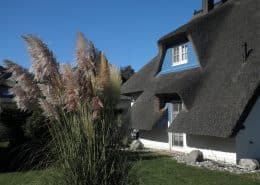 Reetdach
